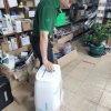 hình của bình luận Nguyễn Gia