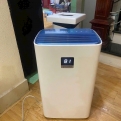 hình đánh giá của Dương Kỳ