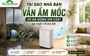 Tại sao nhà bạn vẫn ẩm mốc dù đã đóng kín cửa? Sự thật về độ ẩm