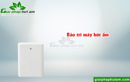 Bảo Trì Máy Hút Ẩm
