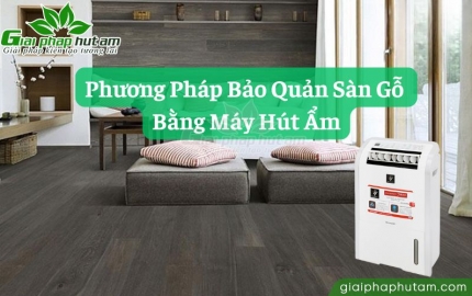 Cách Xử Lý Sàn Gỗ Bị Ẩm Mốc Do Độ Ẩm Cao
