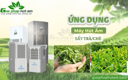 Có nên dùng máy hút ẩm để sấy và bảo quản trà?