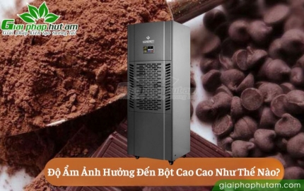 Độ ẩm ảnh hưởng đến bột ca cao như thế nào? Giải pháp bảo quản hiệu quả
