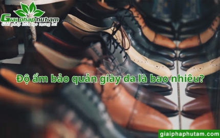 Độ ẩm bảo quản giày da