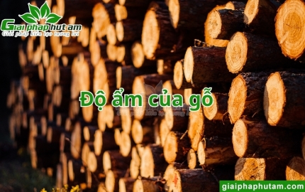 Độ ẩm của gỗ