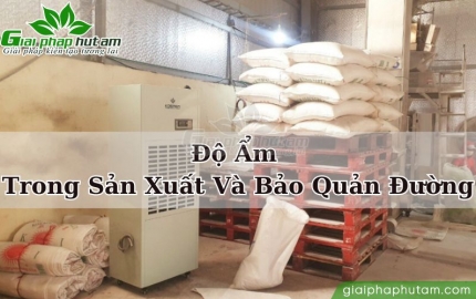 Độ Ẩm Trong Sản Xuất Và Bảo Quản Đường – Yếu Tố Quyết Định Chất Lượng