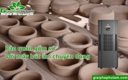 Máy hút ẩm bảo quản gốm sứ