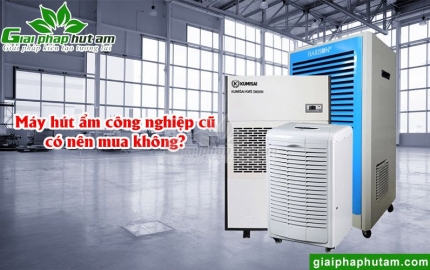Máy Hút Ẩm Công Nghiệp Cũ Có Nên Mua Không?