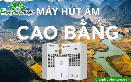 Máy hút ẩm tại Cao Bằng