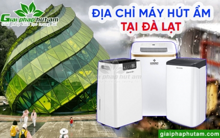 Máy hút ẩm tại Đà Lạt