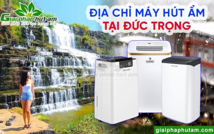 Máy hút ẩm tại Đức Trọng