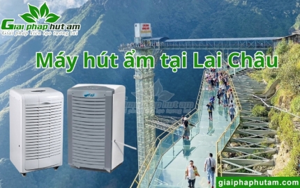 Máy Hút Ẩm Tại Lai Châu