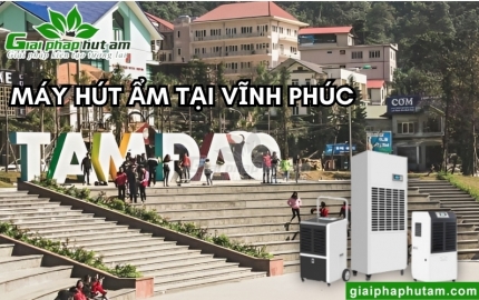 Máy hút ẩm tại Vĩnh Phúc