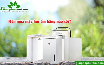 Máy Hút Ẩm Hãng Nào Tốt?