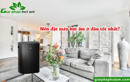 Nên Đặt Máy Hút Ẩm Ở Đâu