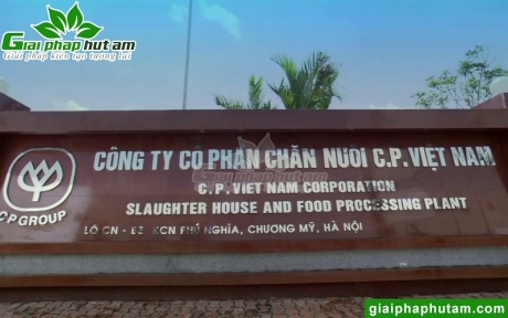 Lắp Máy Hút Ẩm 480L Cho Nhà Máy Chế Biến Thịt C.P Hà Nội