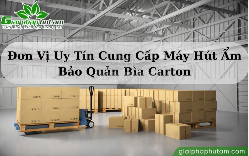 kiểm soát độ ẩm cho kho sản xuất và bảo quản bìa carton