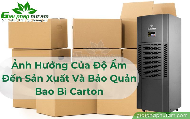 Ảnh hưởng của độ ẩm đến sản xuất và bảo quản bìa carton