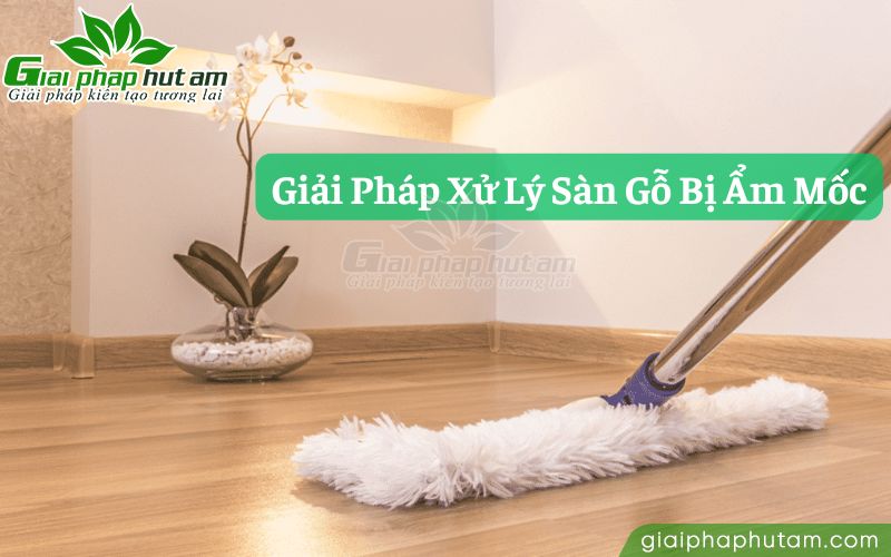Giải pháp xử lý sàn gỗ bị ẩm mốc