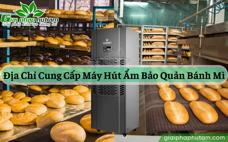máy hút ẩm bảo quản bánh mì chính hãng