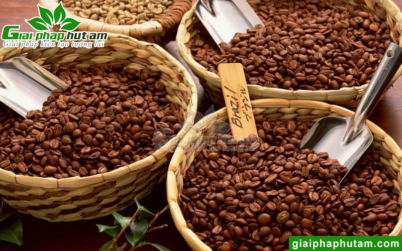 máy hút ẩm giúp bảo quản cà phê trong điều kiện tốt nhất 