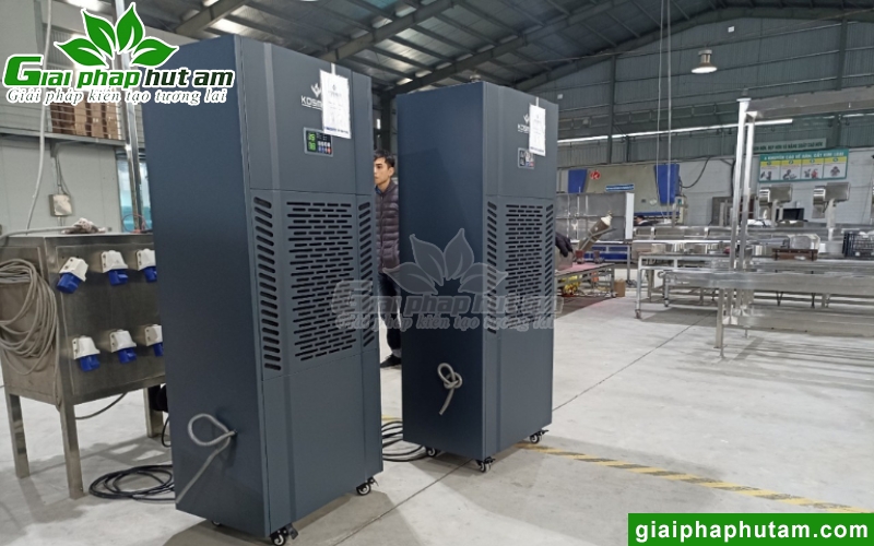 hình ảnh lắp máy hút ẩm bảo quản máy móc tại hà nội - VPM 2