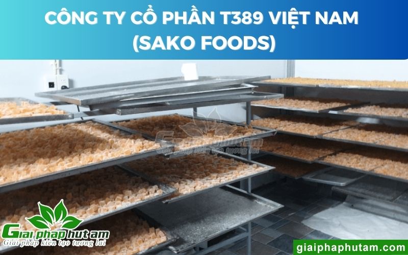 	 Công Ty Cổ phần T389 Việt Nam (Sako Foods)