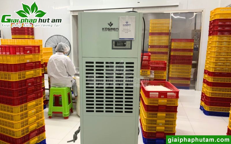 Dự Án Máy Hút Ẩm 180L Sấy, Bảo Quản Phở Tại PHO SEASON Long An