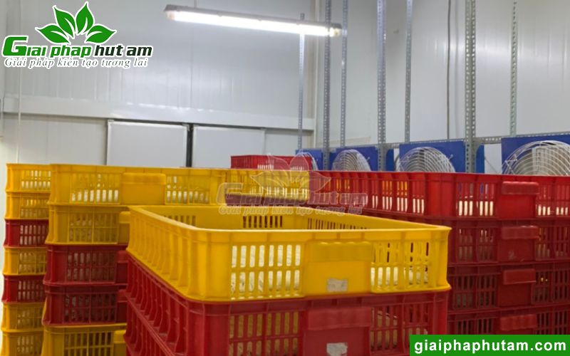 Dự Án Máy Hút Ẩm 180L Sấy, Bảo Quản Phở Tại PHO SEASON Long An