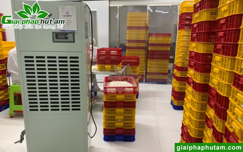 Dự Án Máy Hút Ẩm 180L Sấy, Bảo Quản Phở Tại PHO SEASON Long An