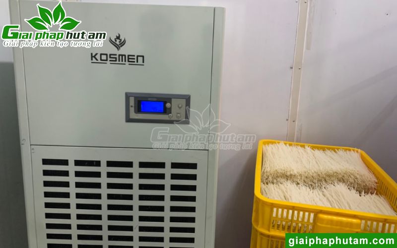 Dự Án Máy Hút Ẩm 180L Sấy, Bảo Quản Phở Tại PHO SEASON Long An