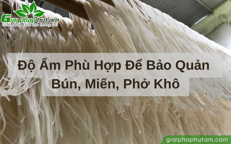 Phương pháp kiểm soát độ ẩm trong xưởng sản xuất bún, miến, phở khô