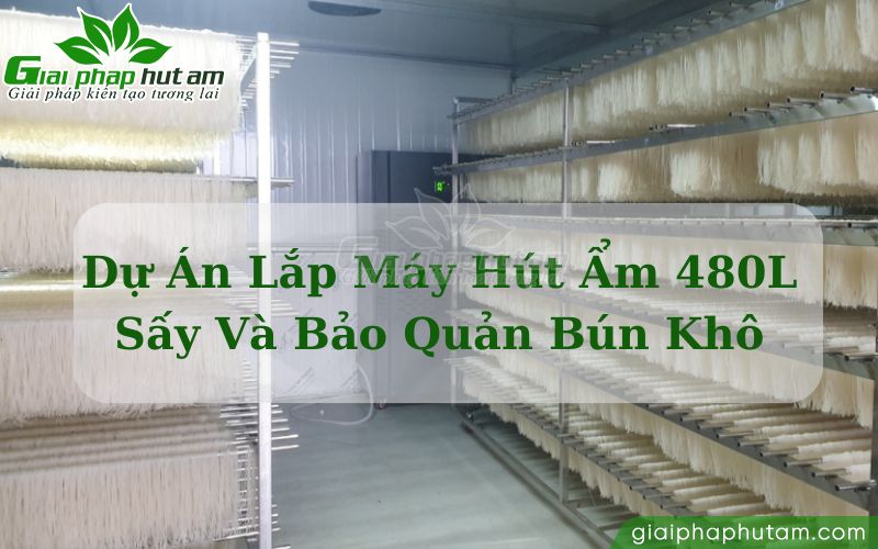 Dự án máy hút ẩm sấy và bảo quản bún miến phở khô