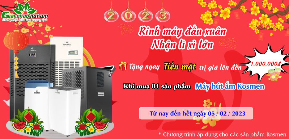 tet-quy-mao