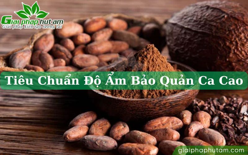 Tiêu chuẩn độ ẩm trong bảo quản bột ca cao