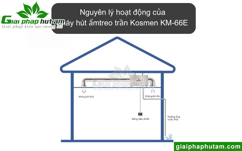 Máy hút ẩm treo trần Kosmen KM-66E hoạt động theo nguyên lý ngưng tụ lạnh