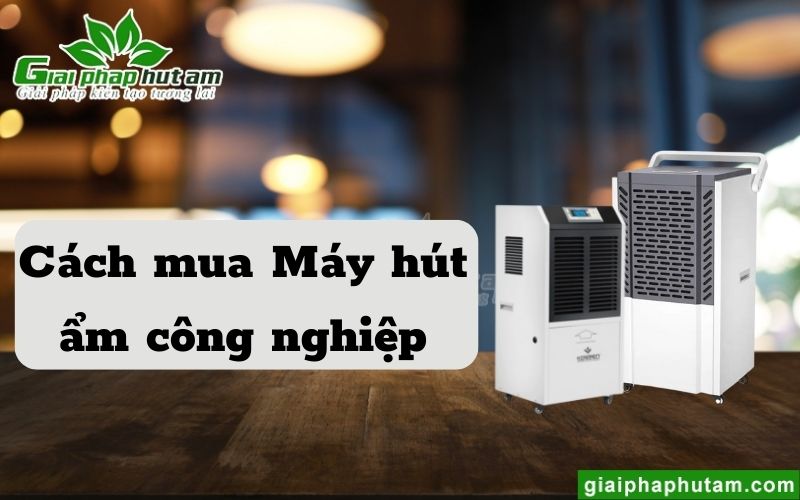 Làm sao mua máy hút ẩm công nghiệp chất lượng tốt?