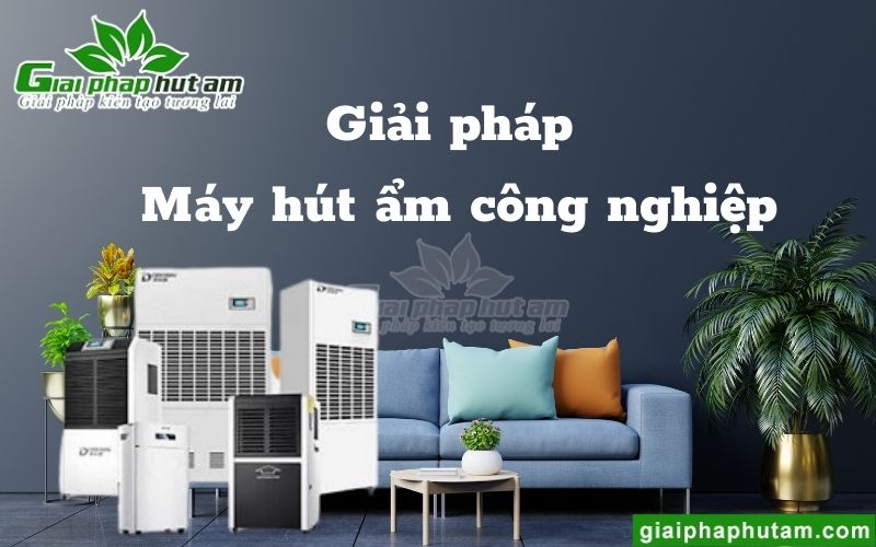 Máy hút ẩm công nghiệp - Giải pháp hữu hiệu cho doanh nghiệp
