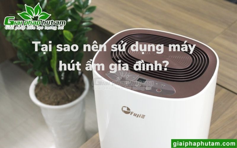 Tại sao nên sử dụng máy hút ẩm gia đình?