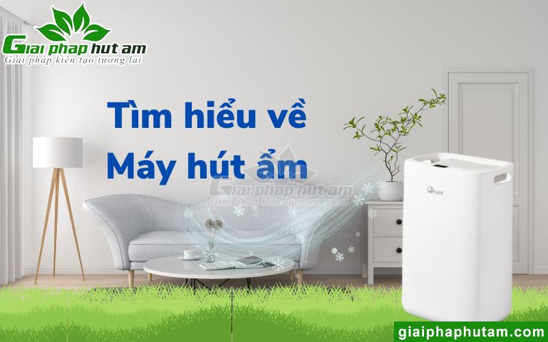 Tìm hiểu chung về máy hút ẩm