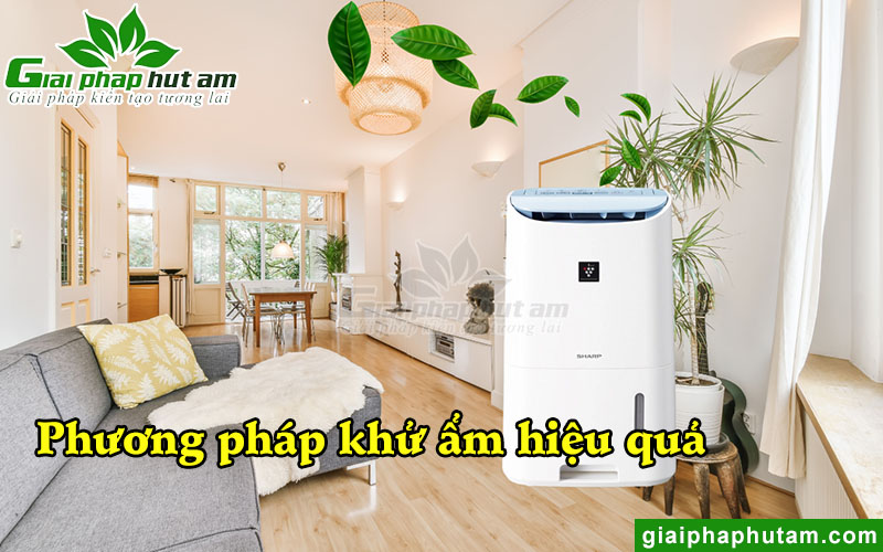 Cách khử ẩm nhanh chóng và hiệu quả