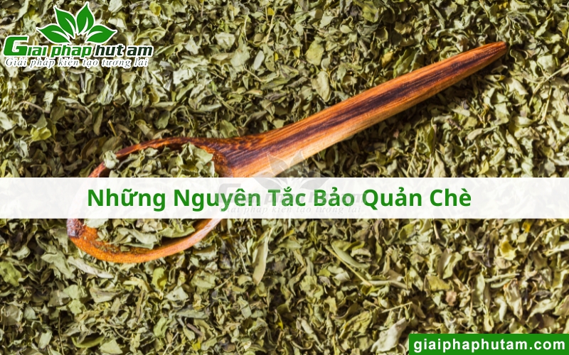 nguyên tắc bảo quản chè