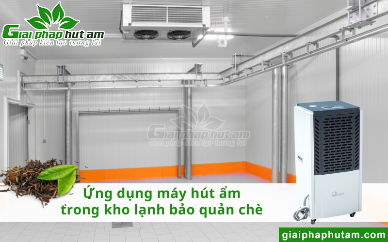 kiểm soát Độ Ẩm Bảo Quản Chè trong phòng lạnh với máy hút ẩm