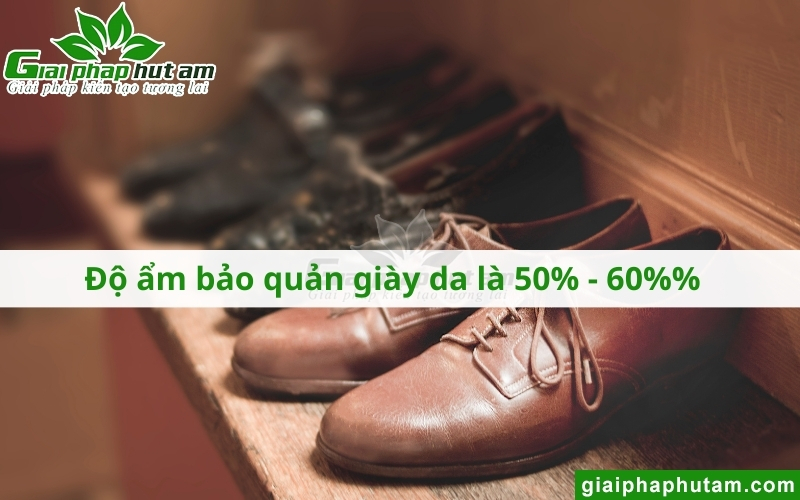 Độ ẩm bảo quản giày da là bao nhiêu