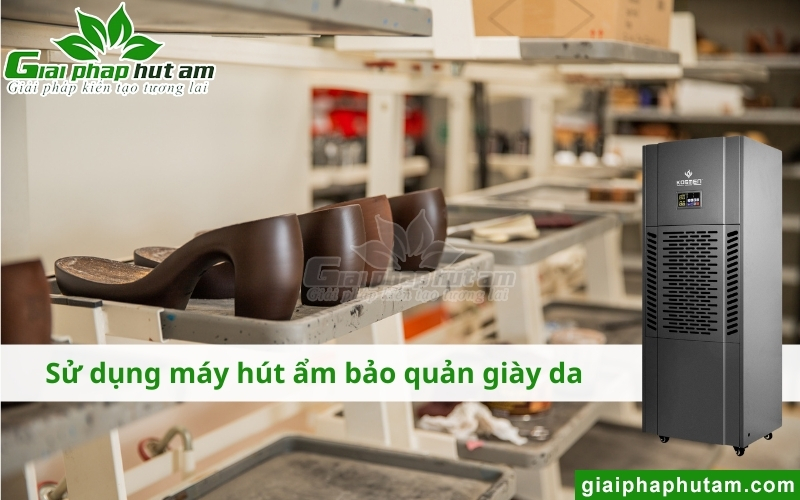 sử dụng máy hút ẩm để kiểm soát Độ ẩm bảo quản giày da