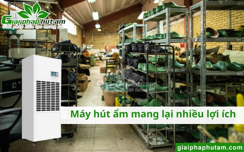 kiểm soát Độ ẩm bảo quản giày da bằng máy hút ẩm mang lại nhiều lợi ích