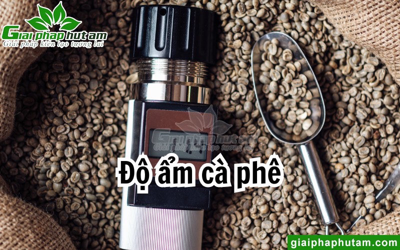 Độ ẩm cà phê