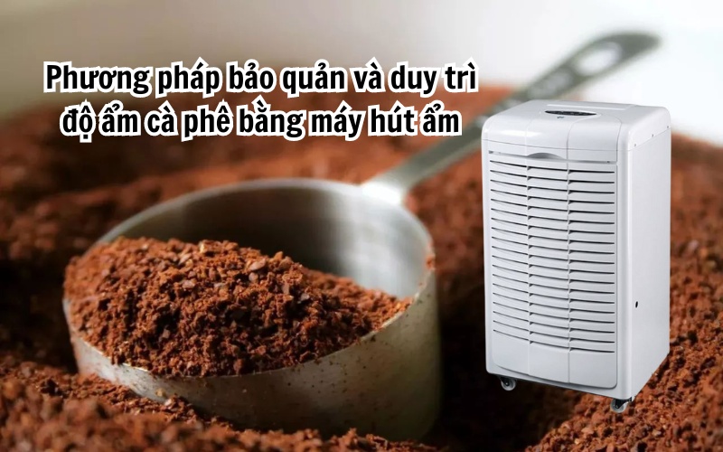 kiểm soát Độ ẩm cà phê bằng máy hút ẩm