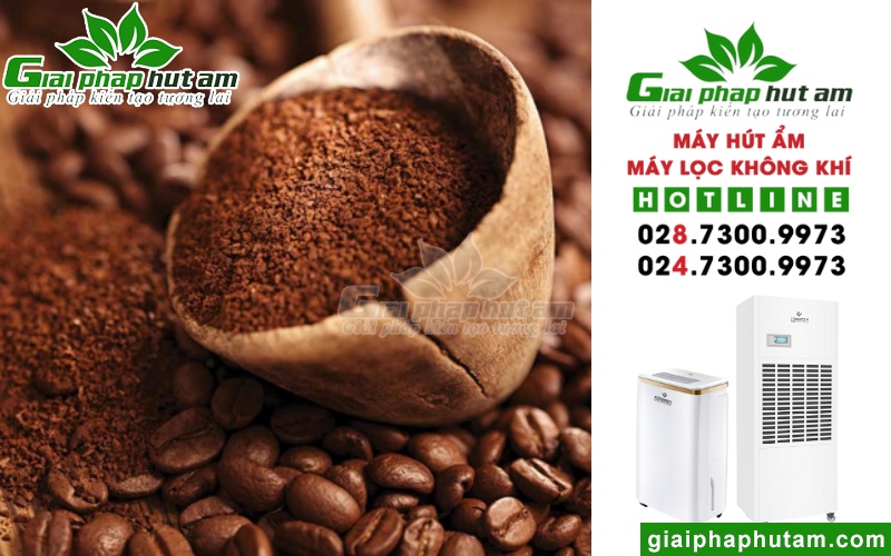 Địa chỉ mua máy hút độ ẩm cà phê uy tín