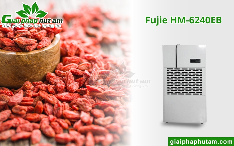máy hút ẩm Fujie HM-6240EB duy trì Độ ẩm của sản phẩm sấy
